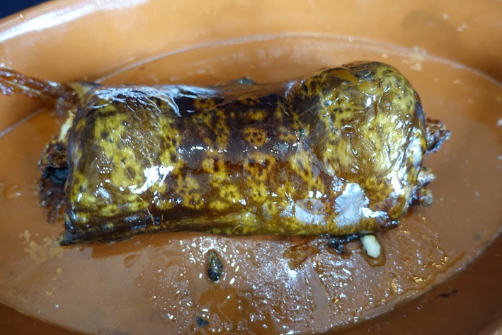 moray eel presented