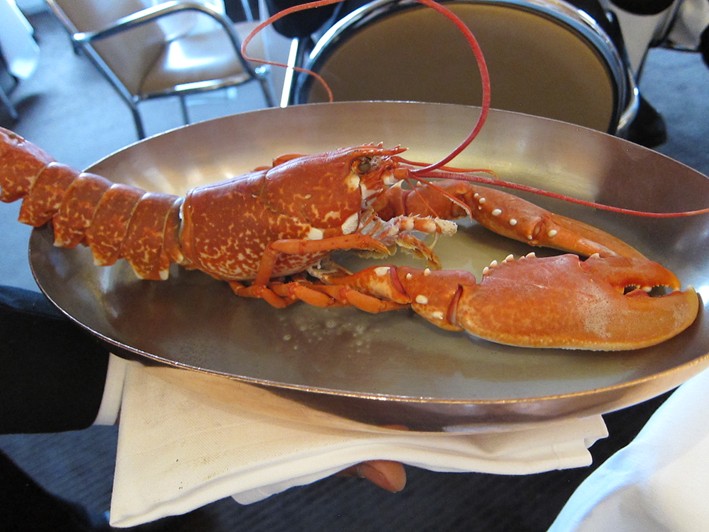 lobster before serving