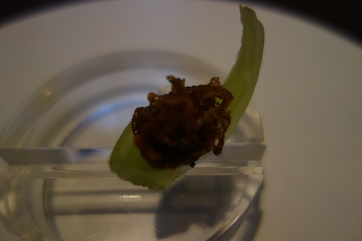 celery with anchovy
