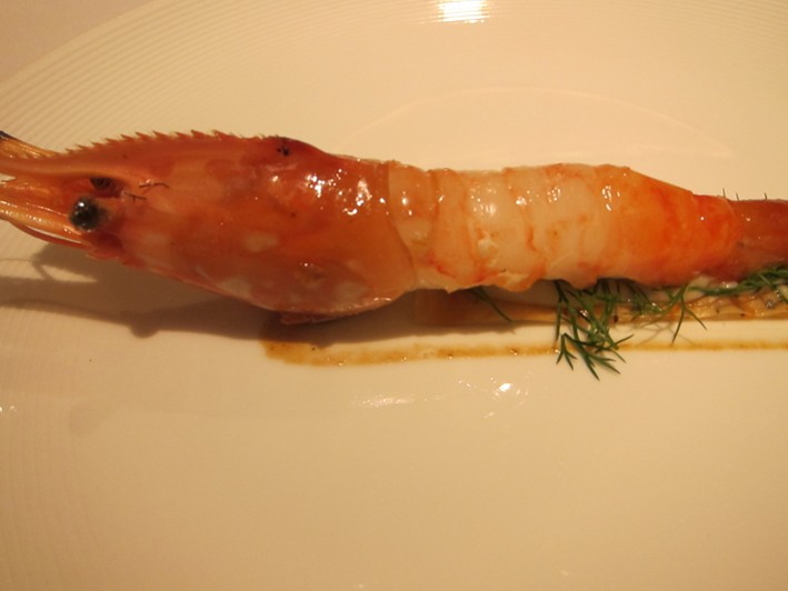 prawn from hokkaido