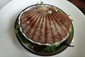 scallop shell