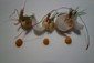 miniature prawn dish