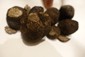 winter truffles