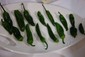 padron peppers