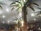 palm tree decoration