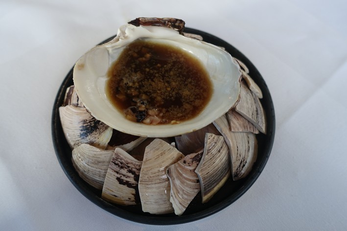 mahogony clam