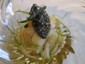 crab salad with caviar
