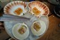 scallop and clam dish
