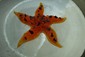 starfish of roe