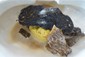 spider crab with morel jus