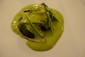 turbot and fava beans