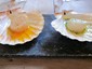 scallops in shell