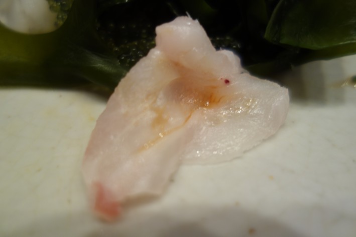 hada fish sashimi
