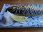mackerel2