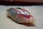 Spanish mackerel sushi