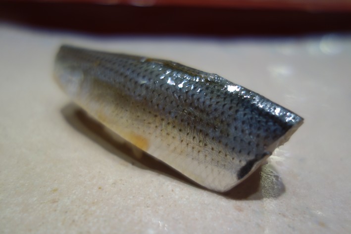 sardine sushi