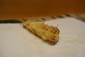 corn tempura