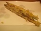 local fish tempura